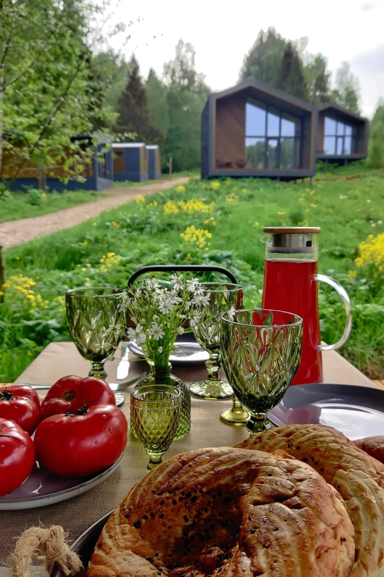 Сервировка завтрака на поляне перед модульными домами в сосновом лесу.