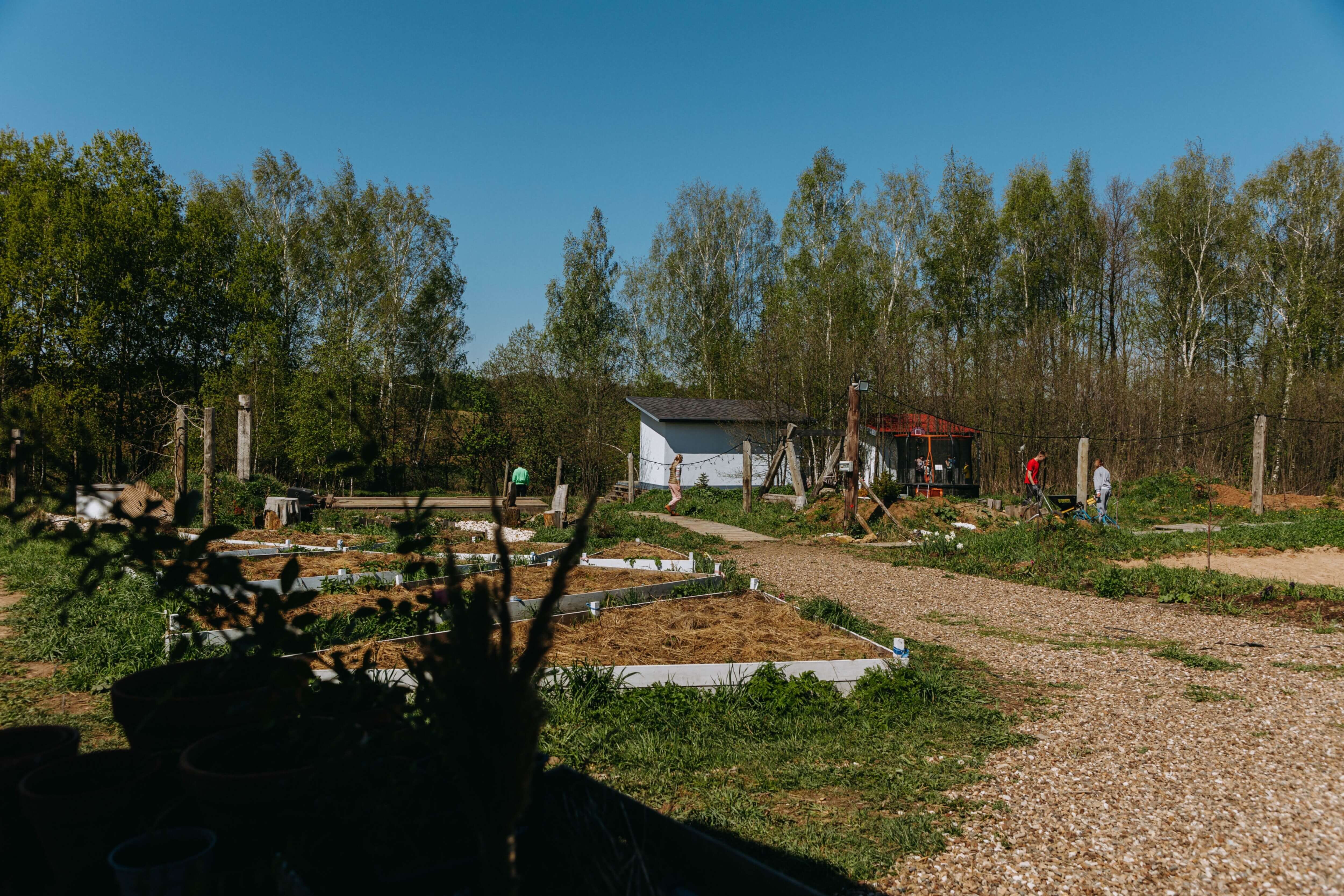 Территория глэмпинга с каркасными домами среди берёзового леса.
