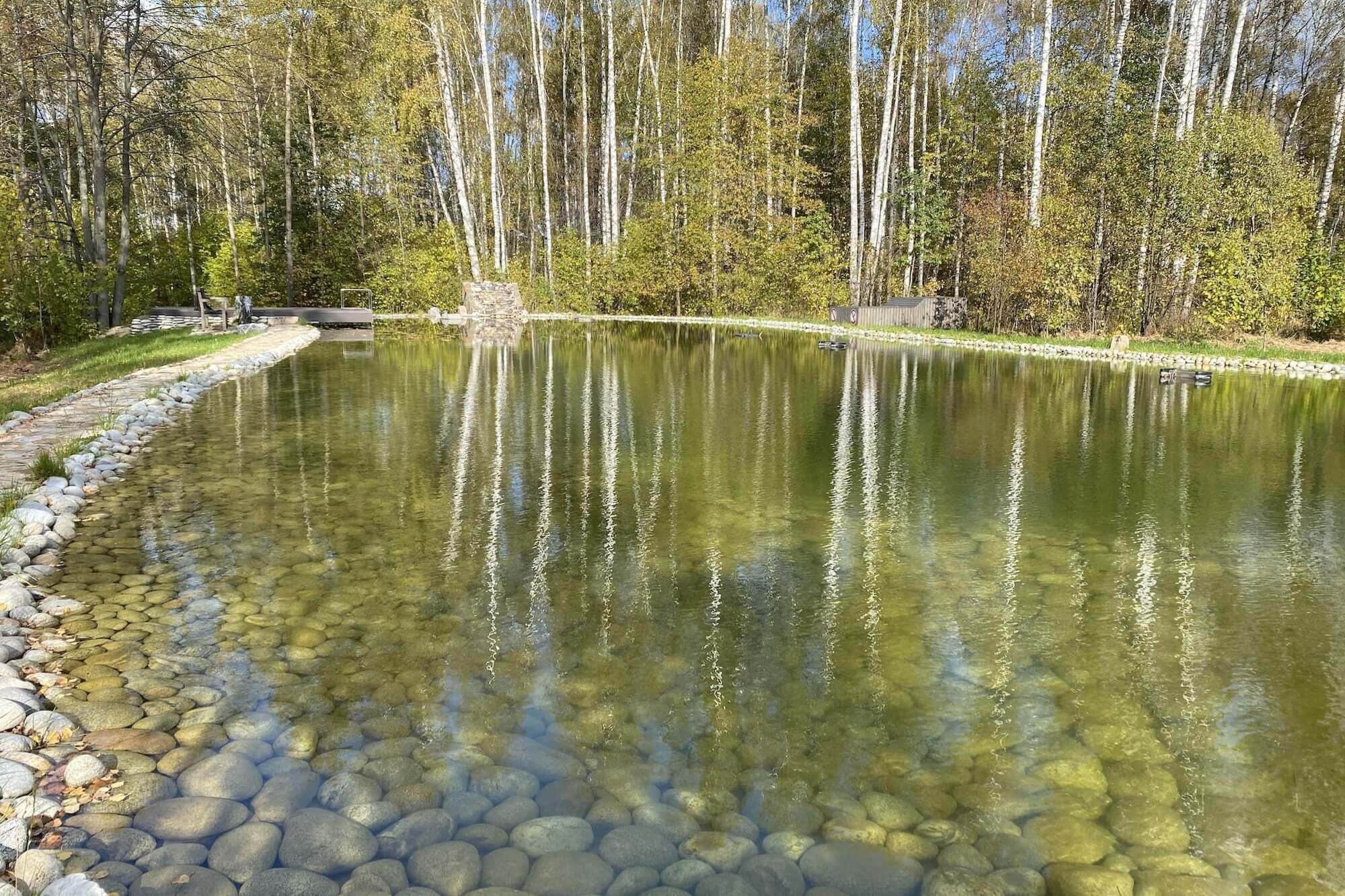 Озеро с кристально чистой водой и отражениями берёз.